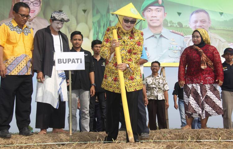 Bupati Subang Buka Pencanangan Gerakan Tanam Kedelai