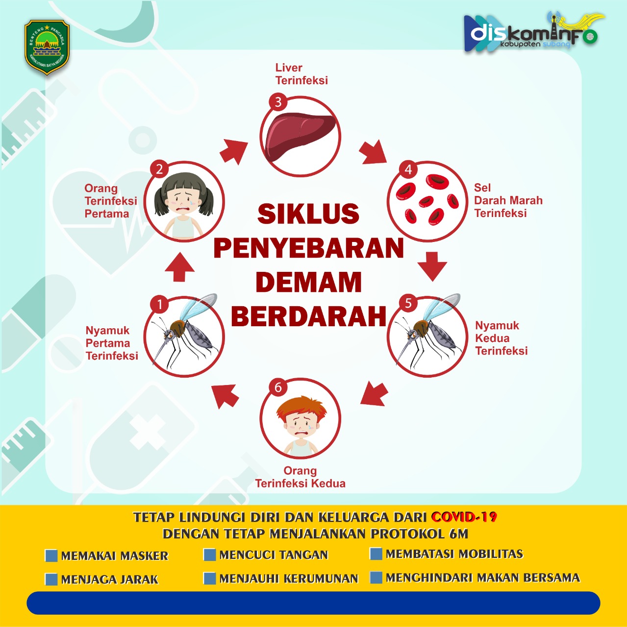 Siklus Penyebaran Demam Berdarah